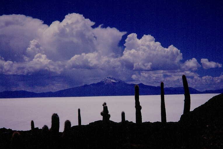 0121KM 43930 04FEB03 Bolivien Salar de Uyuni.jpg